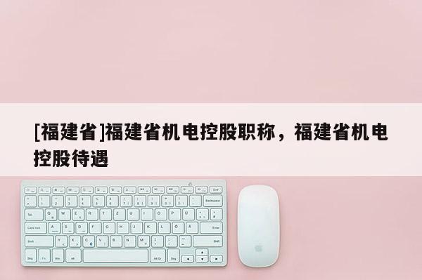 [福建省]福建省機(jī)電控股職稱，福建省機(jī)電控股待遇